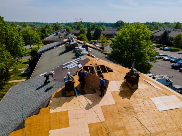 Best Residential Roof Replacement  in Roscommon, MI