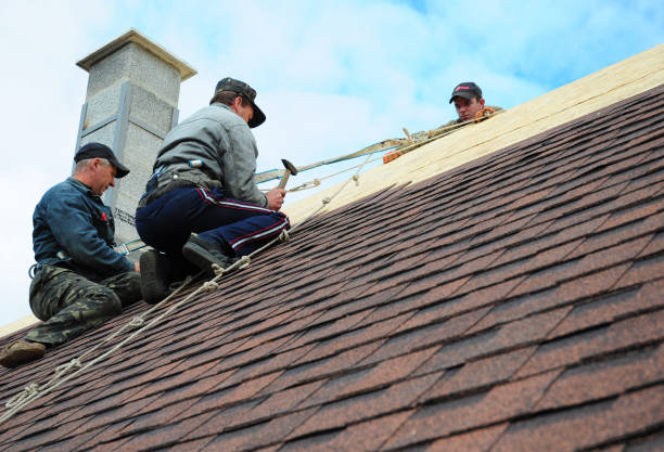 Best Metal Roofing Contractor  in Roscommon, MI