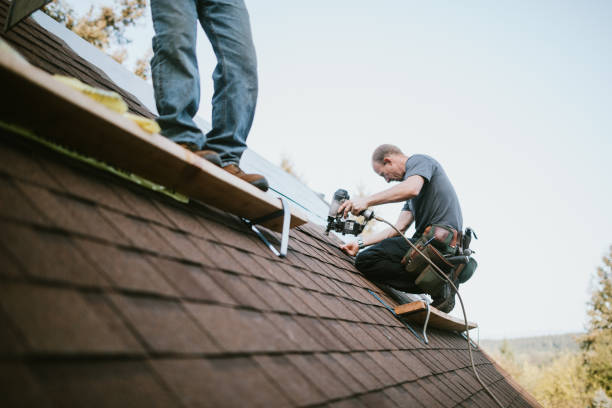 Best Local Roofing Companies  in Roscommon, MI