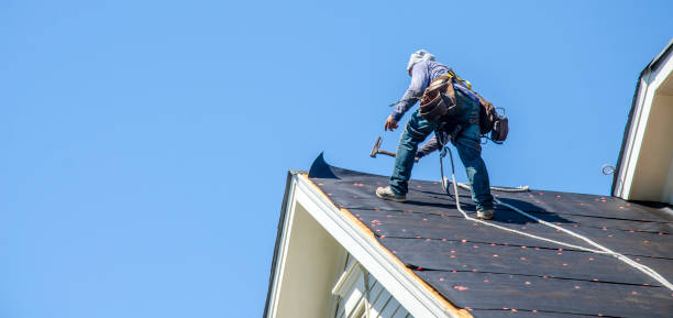 Best Roof Leak Repair  in Roscommon, MI